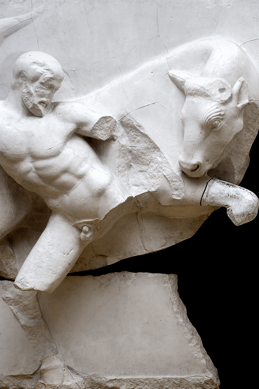 Das Bild zeigt den Gipsabguss einer Reliefplatte mit der Darstellung des griechischen Helden Herakles im Kampf mit einem Stier. Das Foto verlinkt auf eine Unterseite, auf der dieses Objekt und seine Darstellung näher erläutert werden.